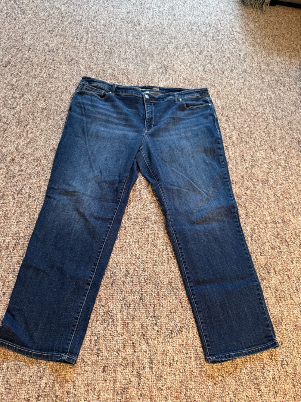 Seven7 Plus Size Jeans Women’s Size 26 Denim Blue Jeans
